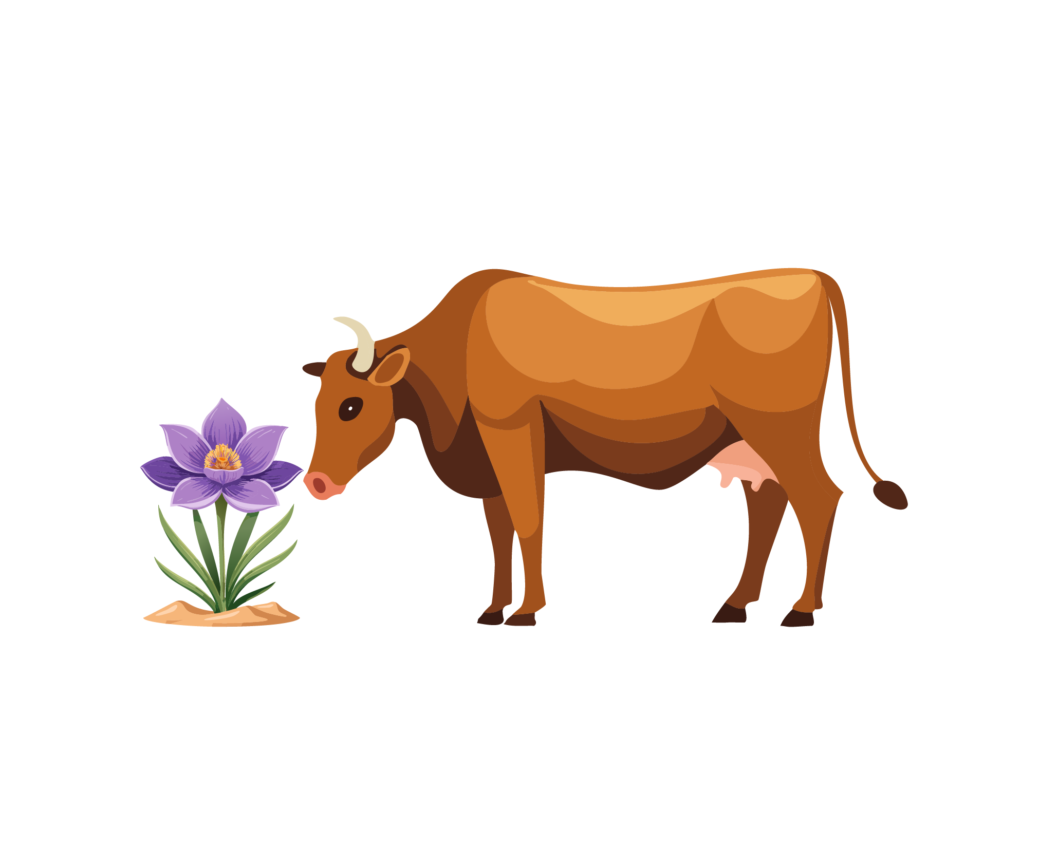 Seize the Cow